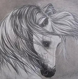 Emilia Lewandowska - destriero bianco