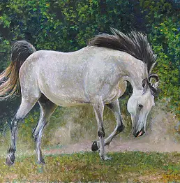 Piotr Pawelczyk - White steed