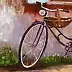 Anna Laurson - Bicycle 
