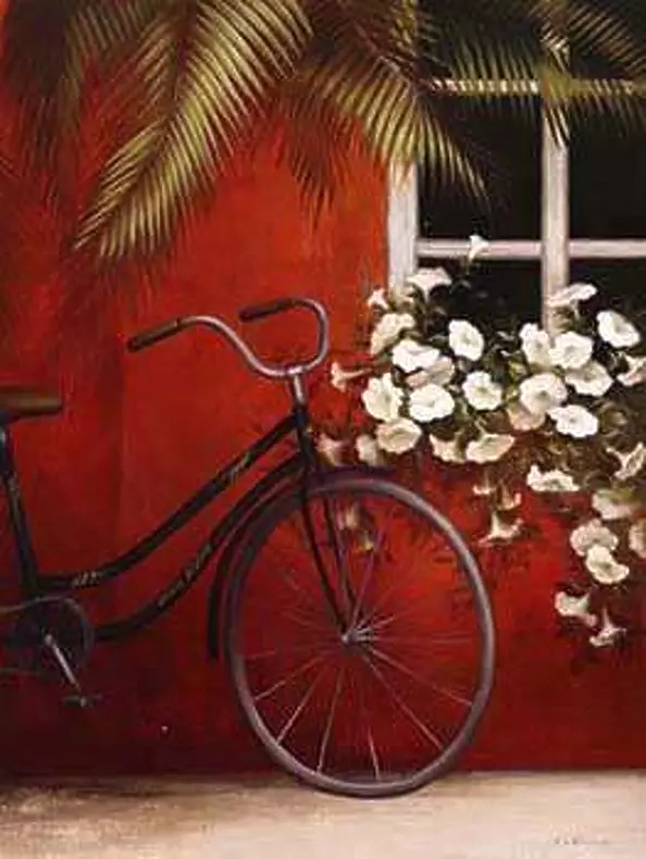 Fabrice De Villeneuve - Bicycle