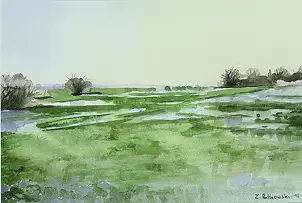 Zdzisław Rutkowski - Biebrza III