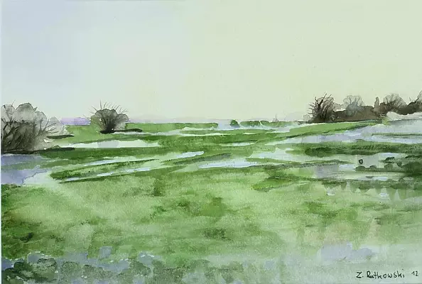 Zdzisław Rutkowski - Biebrza III