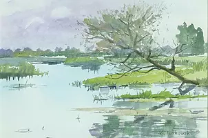 Zdzisław Rutkowski - Biebrza k.Dębowa