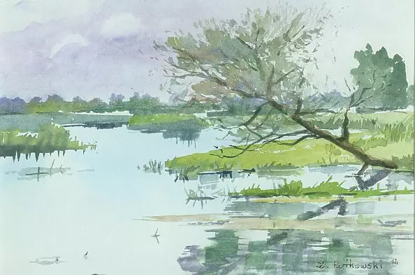 Zdzisław Rutkowski - Biebrza k.Dębowa