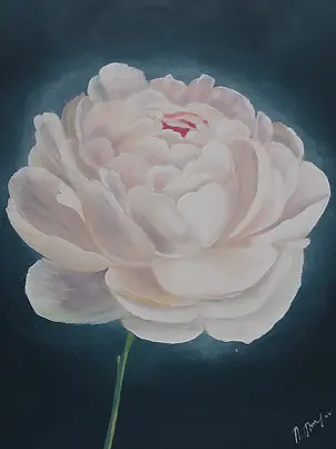 Luba Santkiewicz - Royal Peony White