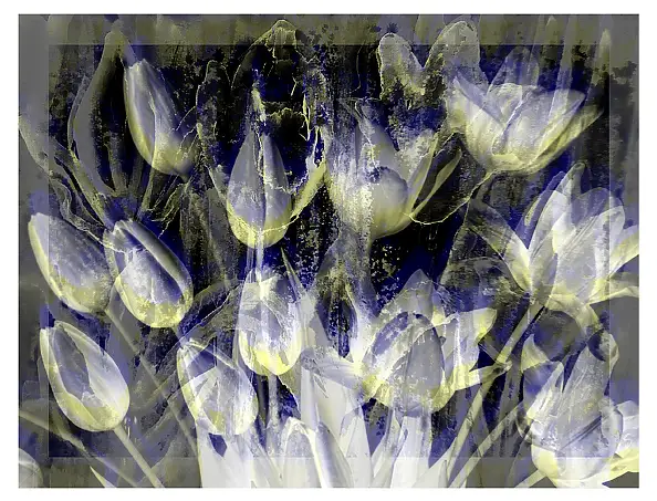 Marzena Salwowska, Tulip White/Giclée, Giclée, Mischtechniken - Papier, 30 x 20
