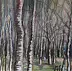 Marzena Salwowska - Bleached trees