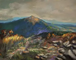 Damian Gierlach - Bieszczady