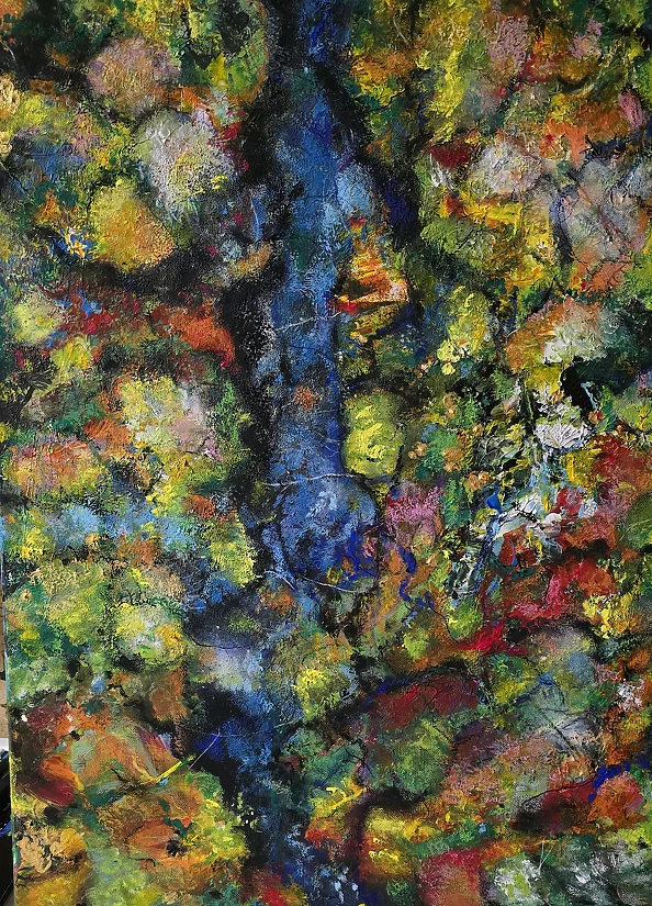 Ewa Mościszko - Bieszczady z lotu ptaka 