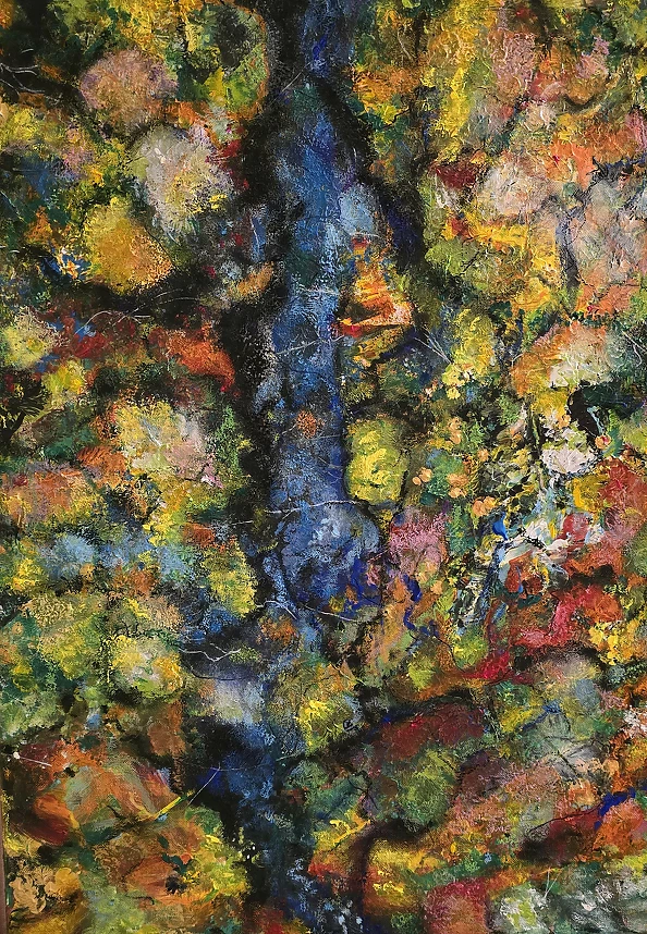 Ewa Mościszko - Bieszczady z lotu ptaka 