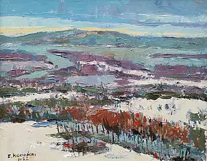   - Bieszczady in winter