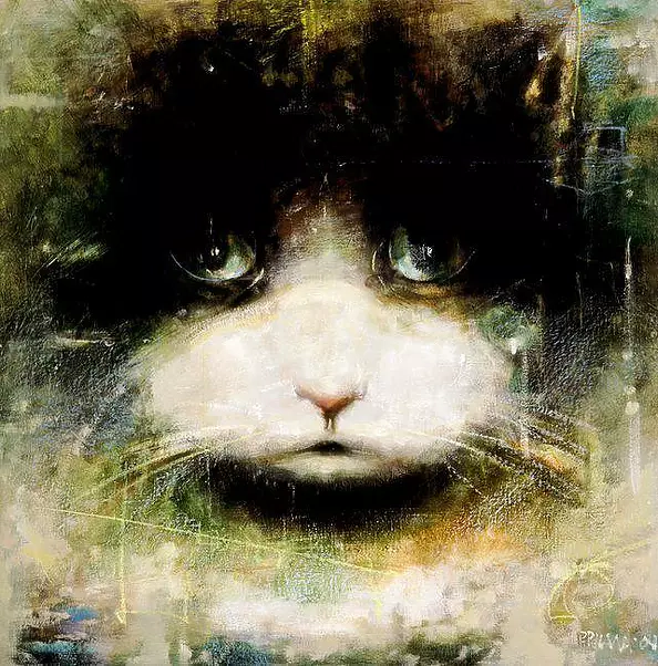 Piotr Pilawa - Duża głowa