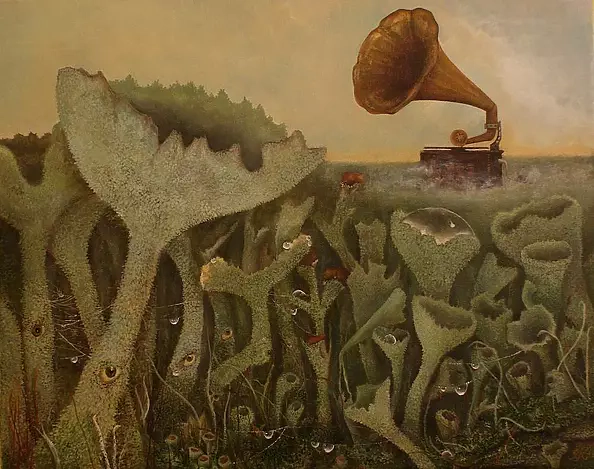 Klaudia Karasek - Bioindicators. Turntable as archaic navigator lichens jagged