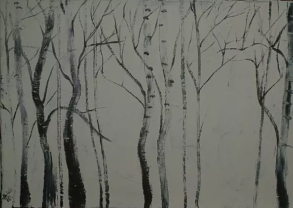 Barbara Wuczkowska - birchwood