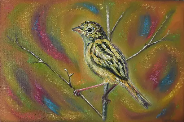 Tetyana Shcherba - Birdie 