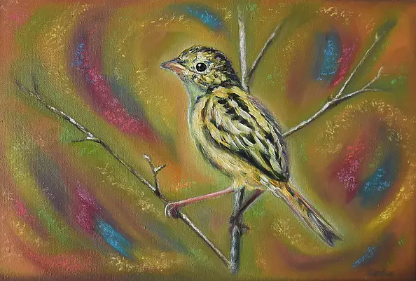 Tetyana Shcherba - Birdie 