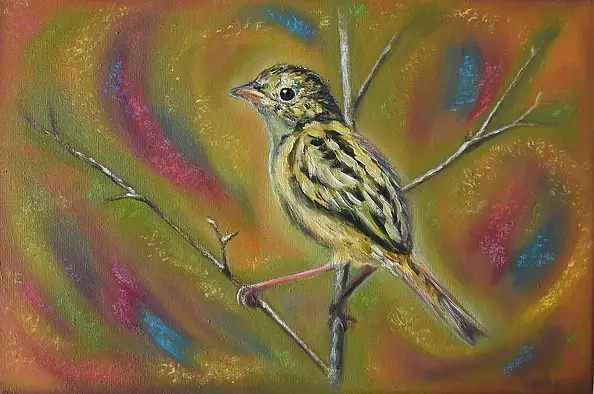 Tetyana Shcherba - Birdie 