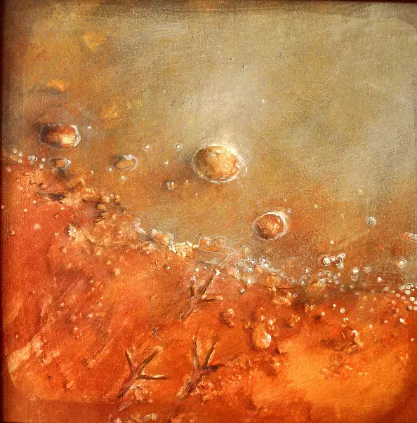 Iwona Markowicz Winiecka - Birds (cyklTrzy days), 2008,