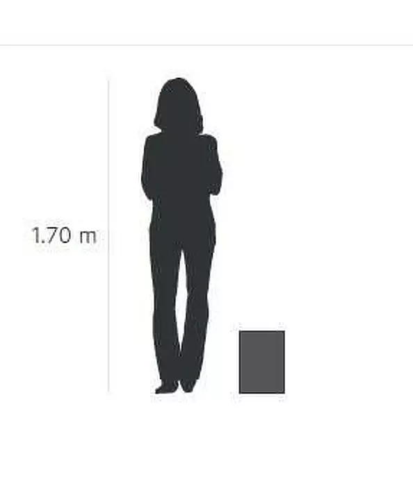 Elżbieta Goszczycka - Wall jewelry