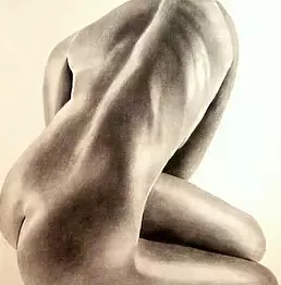 Surajit Chatterjee - Black Beauty