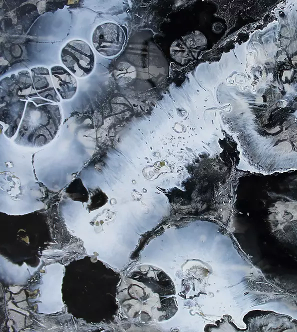 Rachel McCullock - Black Opals