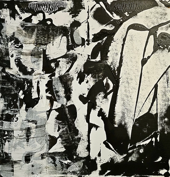 Ewa Mościszko - Black & white