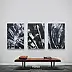 Ewa Mościszko, Black& white winter composition, Obraz akrylowy - płótno, 40 x 60