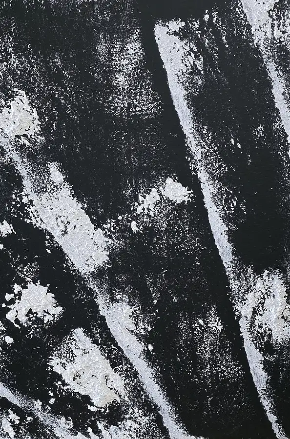 Ewa Mościszko, Black& white winter composition, Obraz akrylowy - płótno, 40 x 60