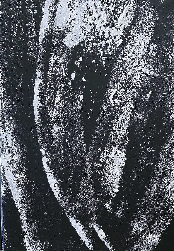 Ewa Mościszko, Black& white winter composition, Obraz akrylowy - płótno, 40 x 60