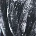 Ewa Mościszko, Black& white winter composition, Obraz akrylowy - płótno, 40 x 60
