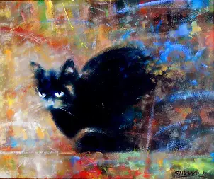 Piotr Pilawa - gatto nero