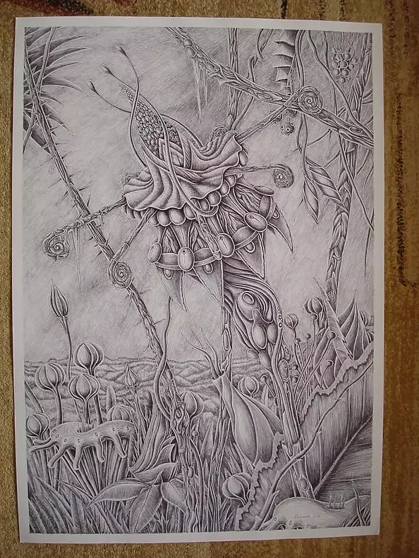 Mariusz Malinowski - Black flower