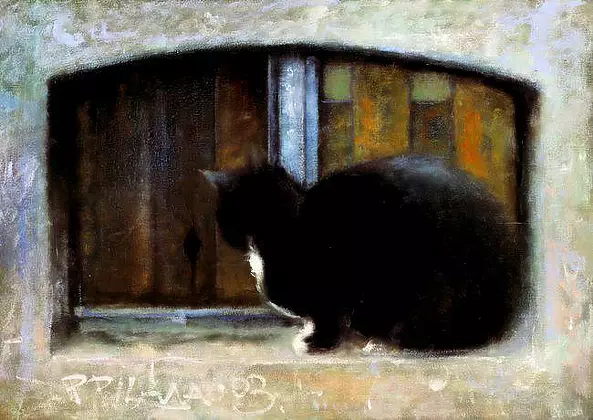 Piotr Pilawa - Black in the back