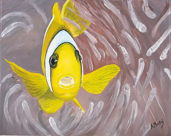 Agnieszka Mantaj - Clown Nemo