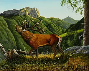 Tiziana Colleoni - bellowing stag
