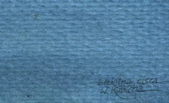 Witold Kubicha - Blue silence.