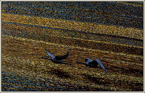 Marek Chomczyk - Błękitne ptaki