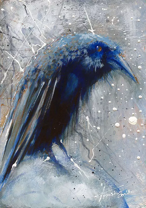 Krzysztof Trzaska - "The Blue Crow" from the series "Birds"