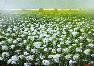 Tadeusz Gazda - Bawełenki II