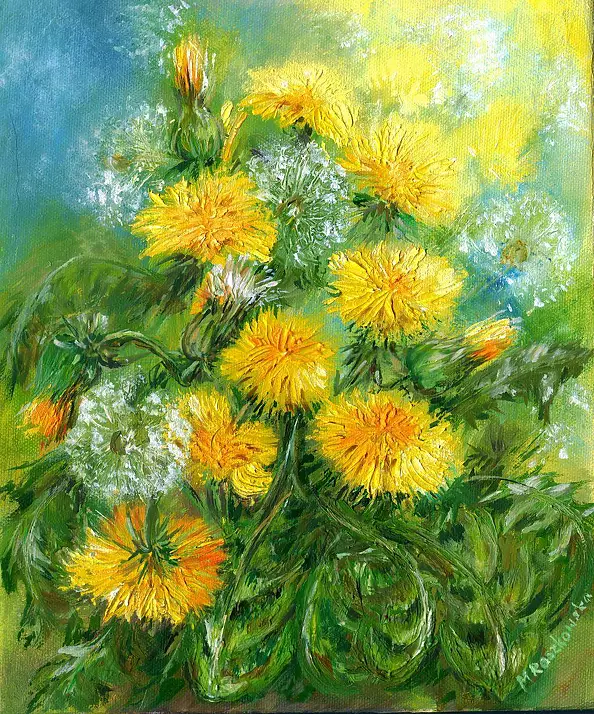 Maria Roszkowska - dandelions
