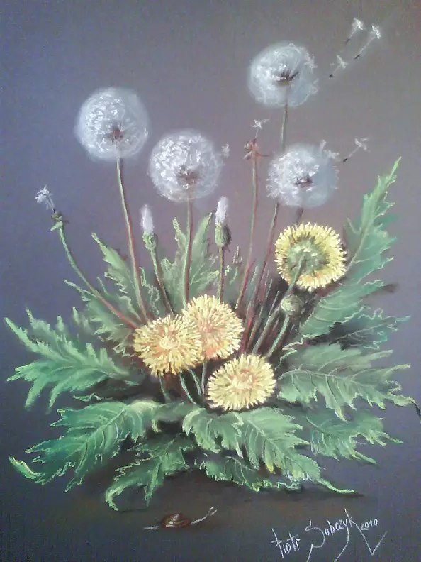 Piotr Sobczyk - kites