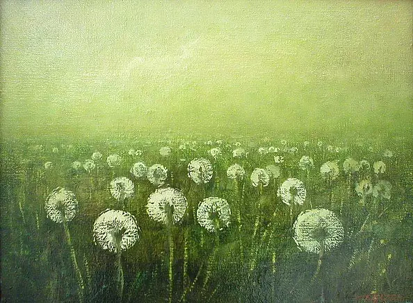 Tadeusz Gazda - dandelions