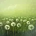 Tadeusz Gazda - dandelions
