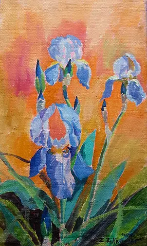 Zdzisław Rutkowski - Niebieskie irysy