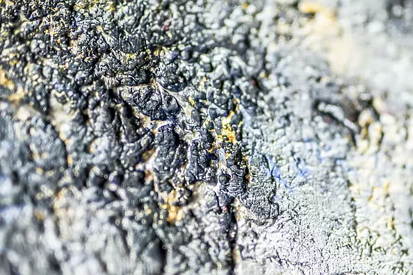 Lidia Sieczkowska - Blues day