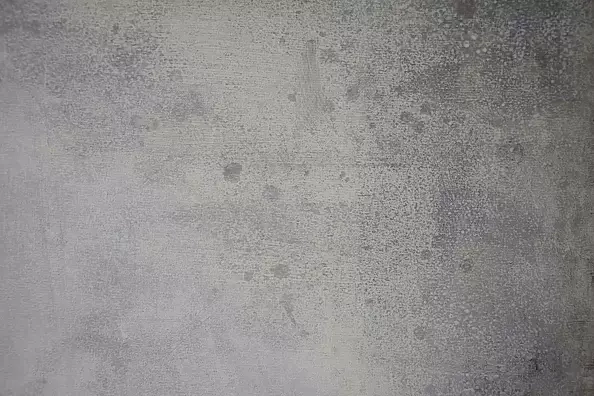 Kamila Ossowska - Błyski poddania