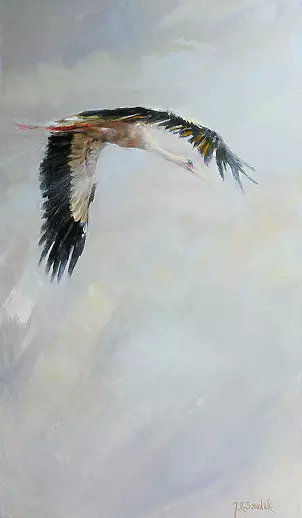 Jacek Szudak - Bocian V