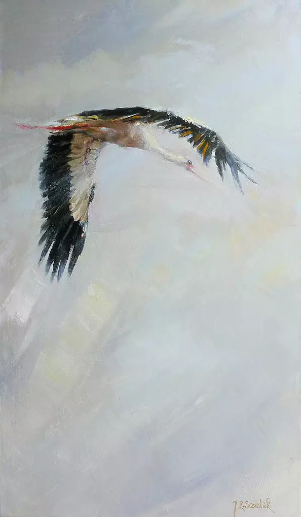 Jacek Szudak - Bocian V