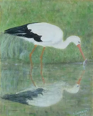Antonina Radzięda - Bocian