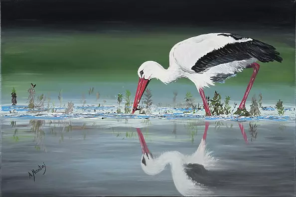 Agnieszka Mantaj - White stork
